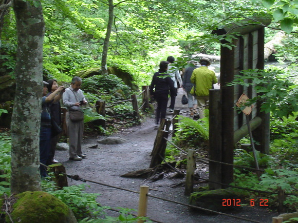 a0188775_911048.jpg