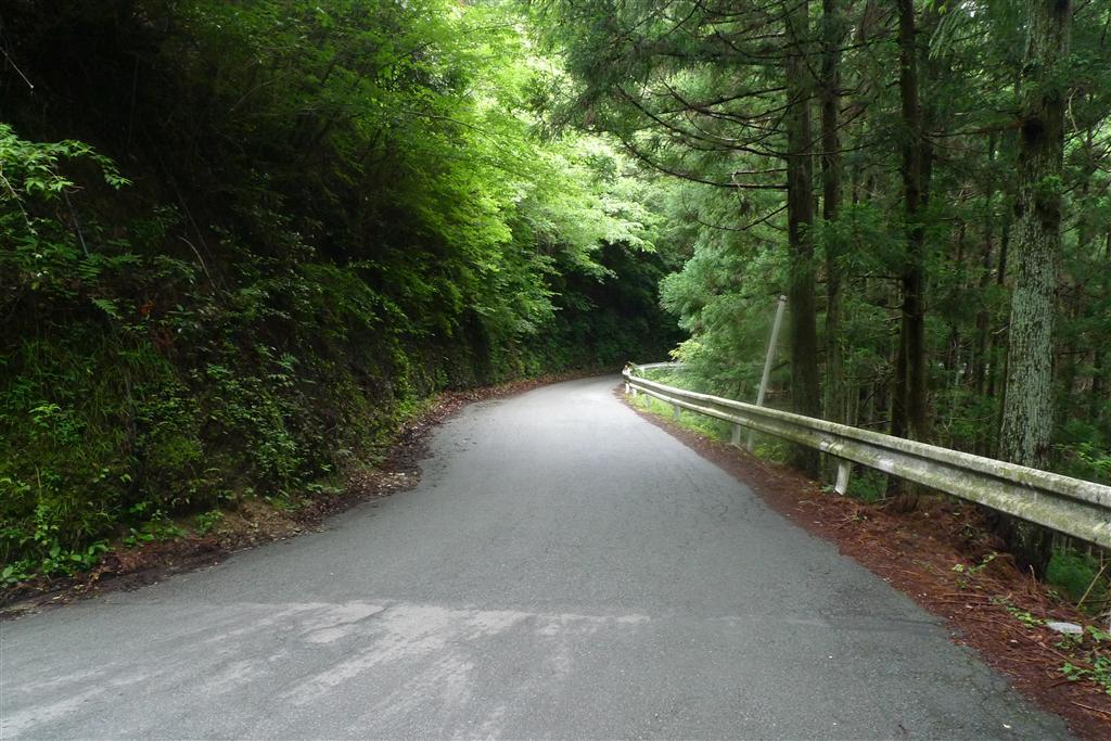 c0177576_1258063.jpg