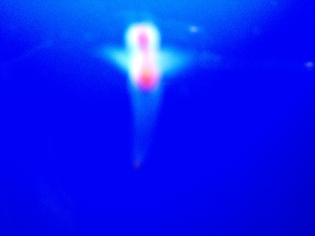 a0224279_22143458.jpg