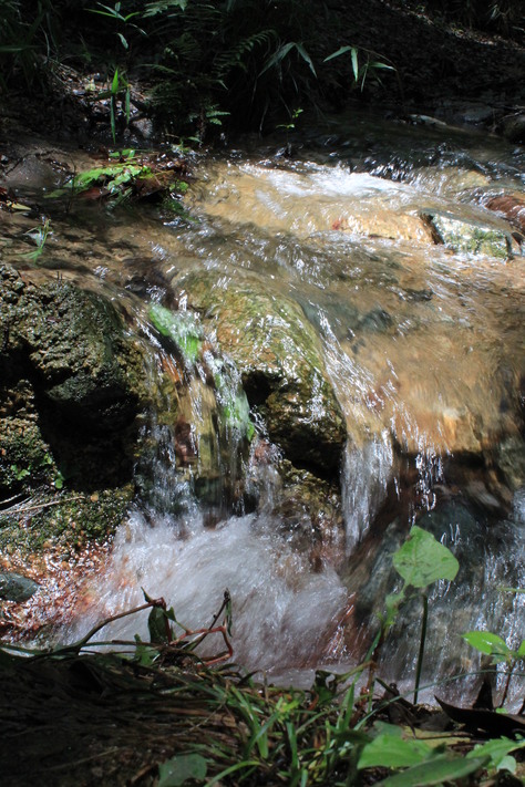 e0024081_14532448.jpg