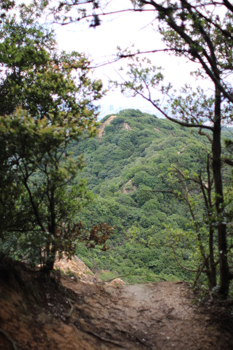 e0024081_14561372.jpg