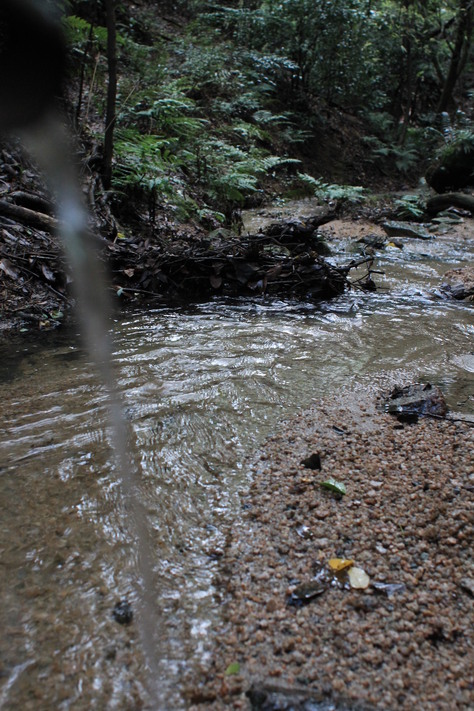 e0024081_1532083.jpg