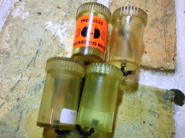 c0078587_2250546.jpg