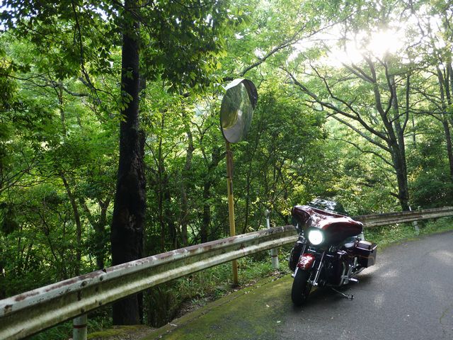 b0190092_19252676.jpg