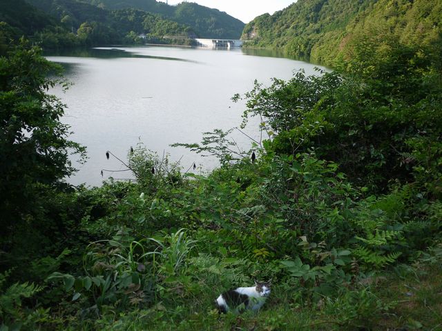 b0190092_19253999.jpg