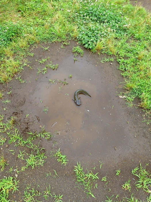 e0202393_18583781.jpg