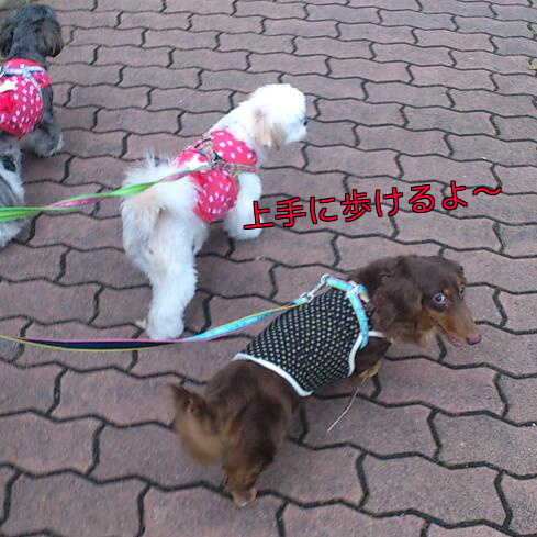 b0237894_1053136.png