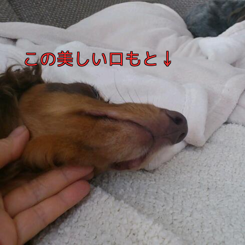 b0237894_2218571.png