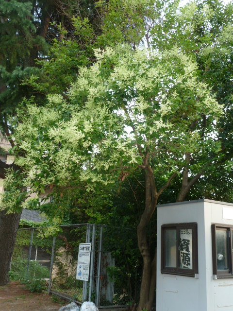 f0166694_1929925.jpg