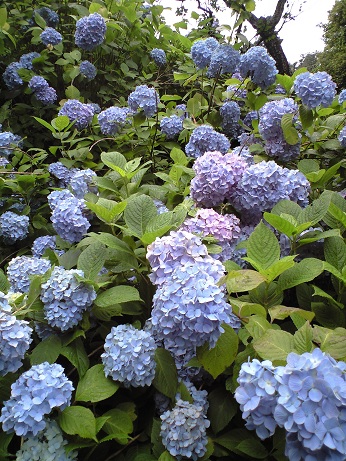 b0119495_10493122.jpg