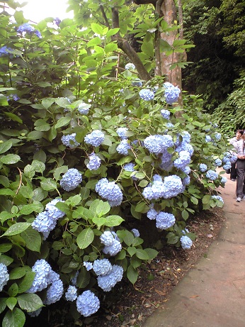 b0119495_10494100.jpg