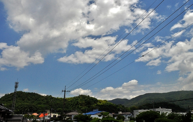 c0247096_17495516.jpg