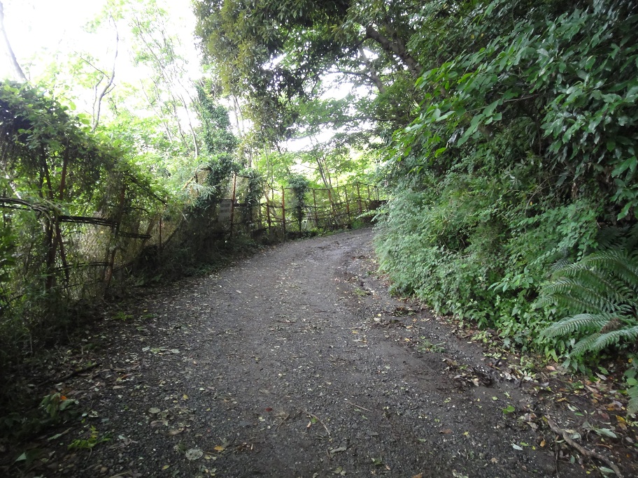 b0092300_2325777.jpg