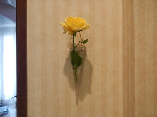 a0229205_2233086.jpg