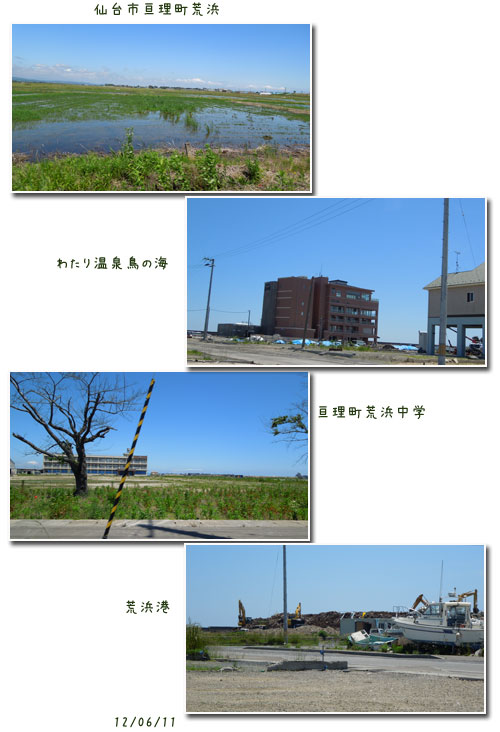 c0051105_2356930.jpg