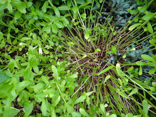 c0105306_2240578.jpg