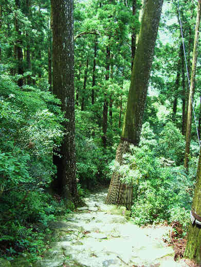 d0154609_17262995.jpg