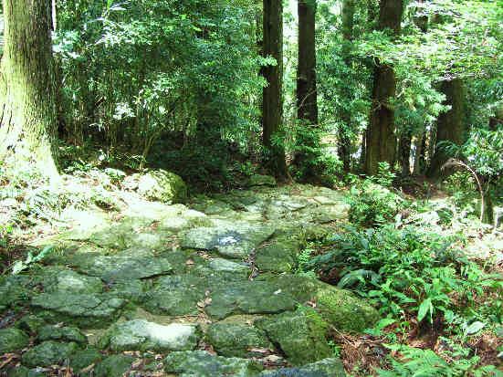d0154609_1728372.jpg