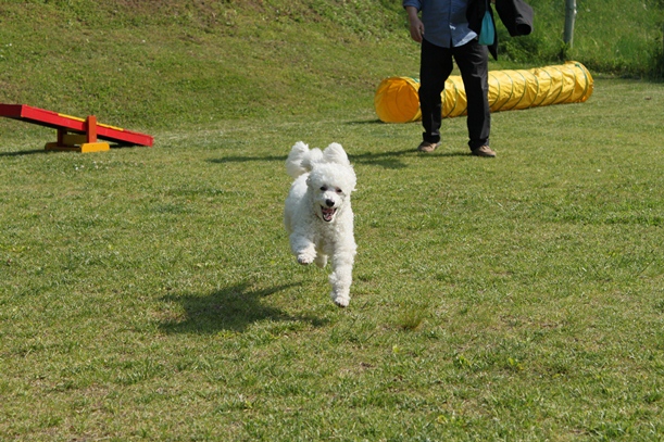 a0109914_1522571.jpg