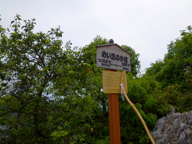 d0170615_17534477.jpg