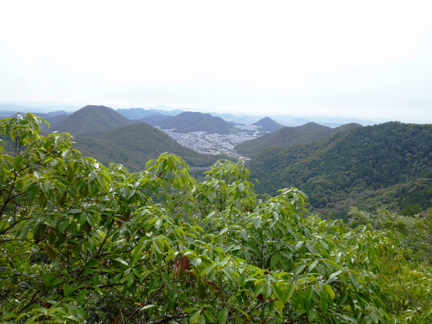 d0170615_1753691.jpg