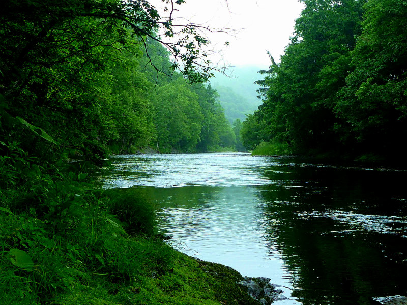 f0153018_211591.jpg