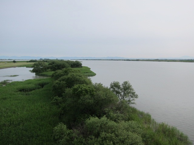 c0225420_20472315.jpg