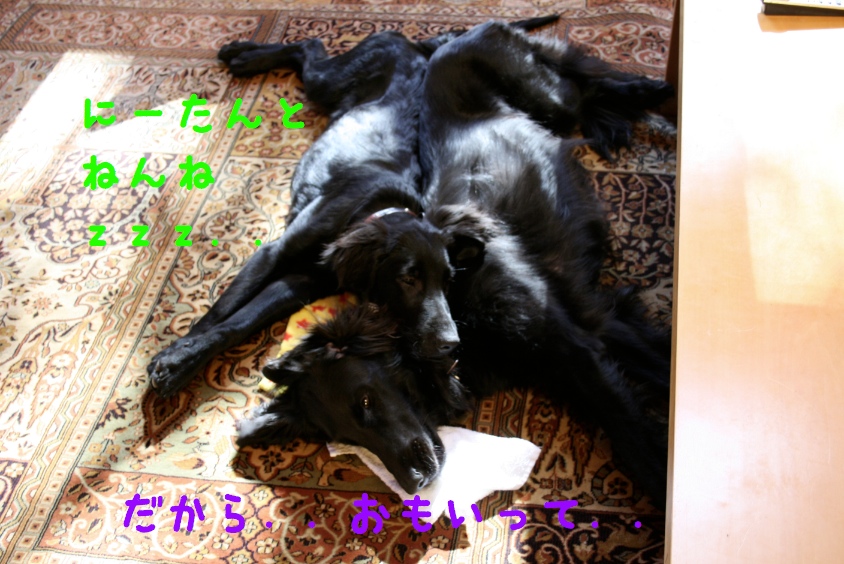 c0237824_063816.jpg