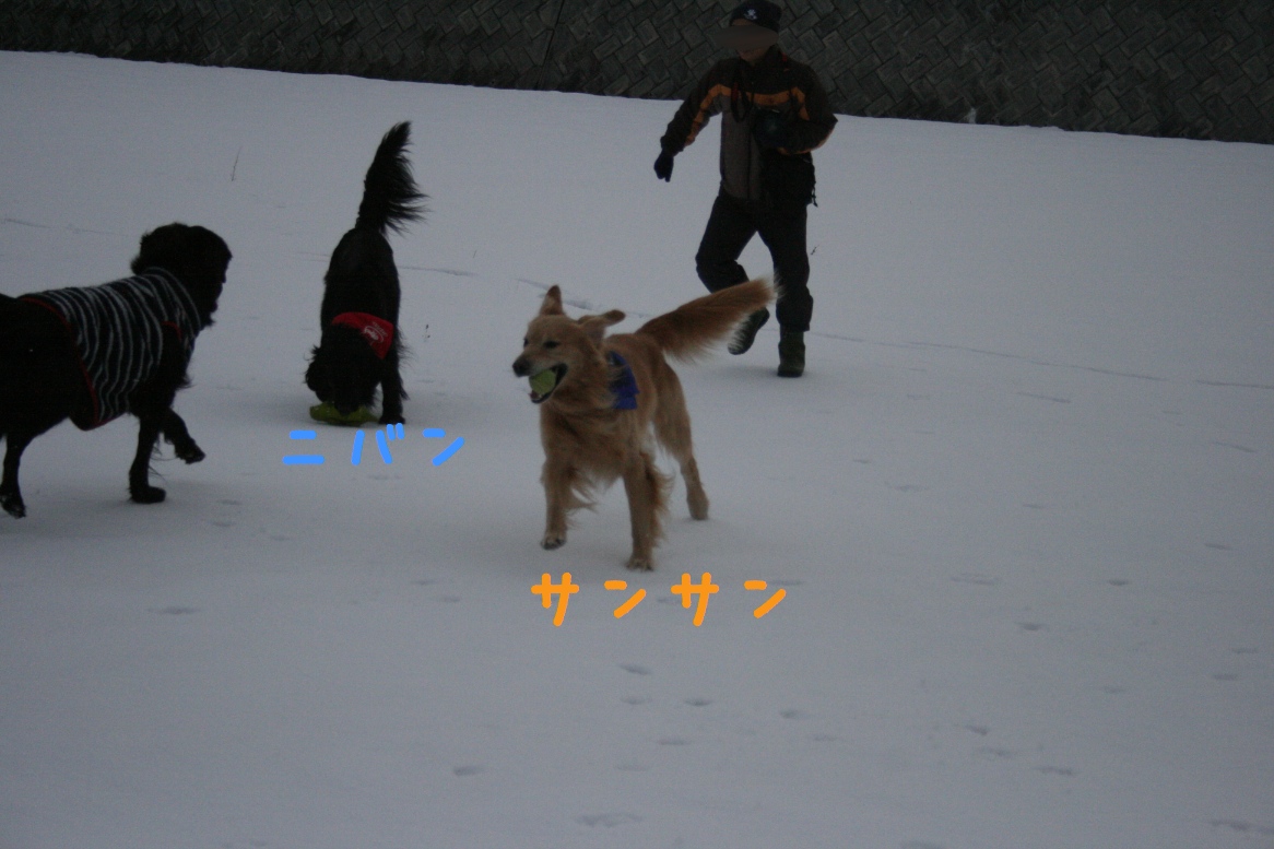 c0237824_10154414.jpg
