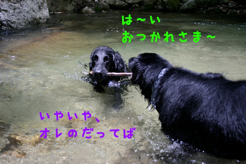 c0237824_9462952.jpg