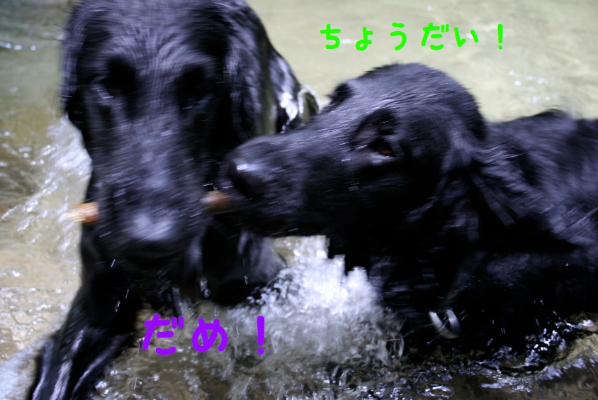c0237824_9465918.jpg