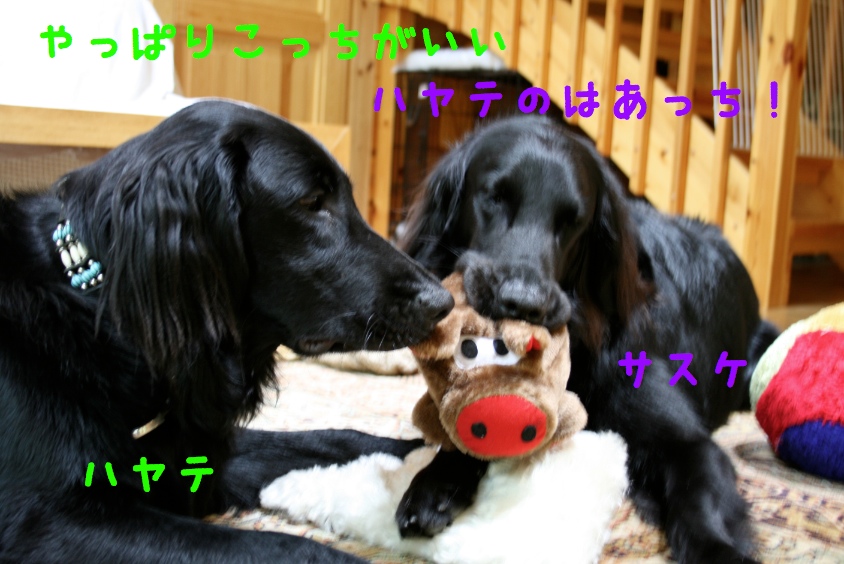 c0237824_9471246.jpg