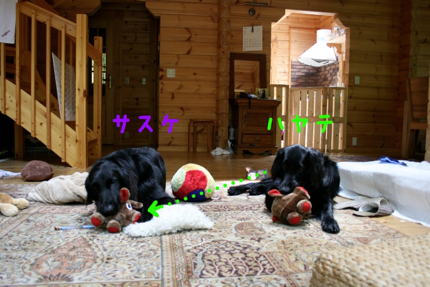 c0237824_9471656.jpg