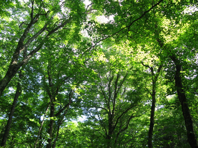 f0017530_2119999.jpg