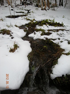f0165730_20201195.jpg