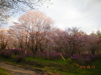 f0165730_20251913.jpg