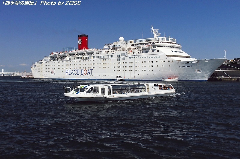 a0195032_959594.jpg