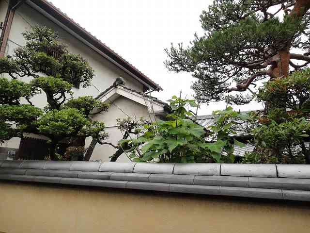 f0208737_810697.jpg