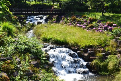 e0228938_20102584.jpg