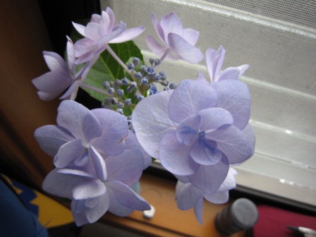 c0025140_16503681.jpg