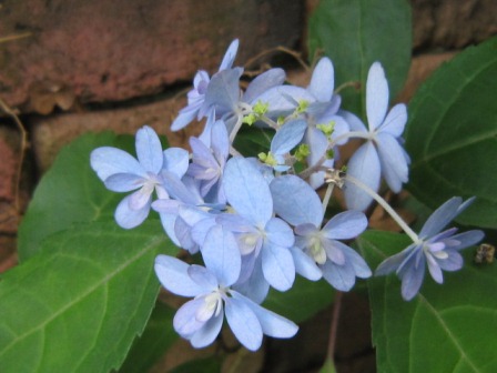 c0025140_20123216.jpg