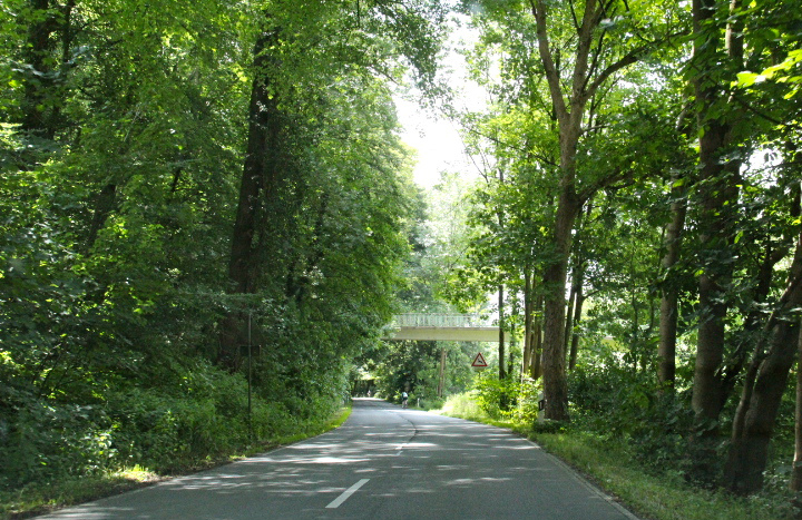 c0153740_22575464.jpg