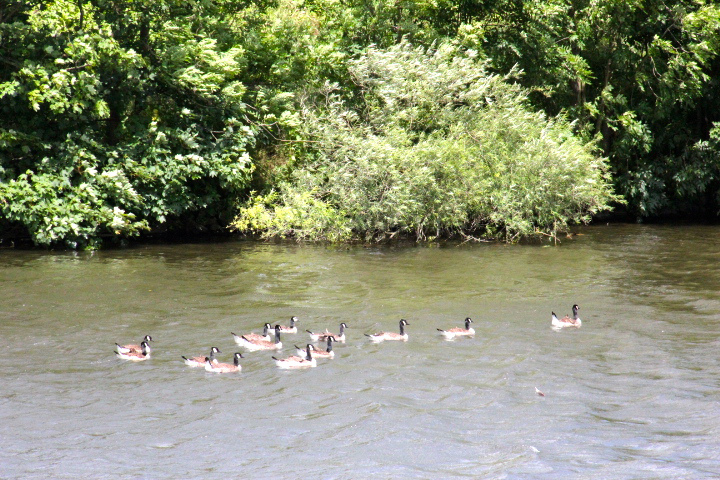 c0153740_22591529.jpg