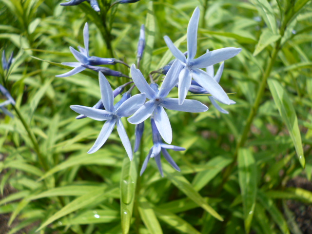 c0233141_1024779.jpg