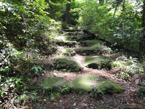 c0179351_8231852.jpg