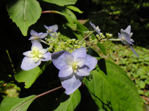 c0179351_8244077.jpg