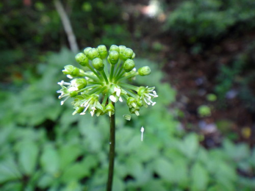 c0179351_82916.jpg
