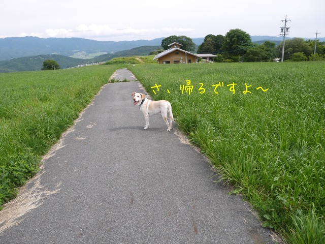 f0177261_20555725.jpg