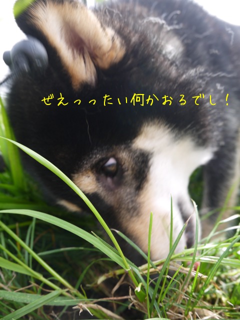 f0177261_20561519.jpg