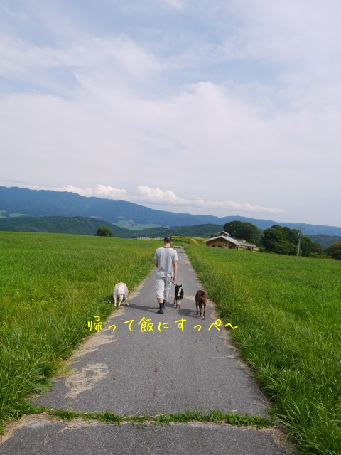 f0177261_20572577.jpg